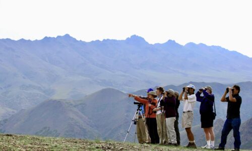 Birding at Yol Valley Birding at Yol Valley