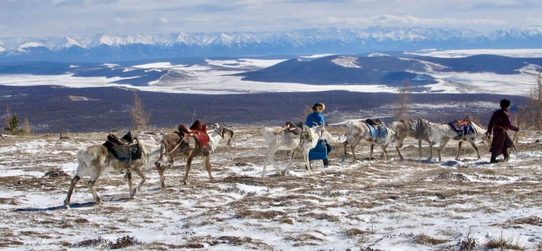Khuvsgul/ Reindeer herding Khuvsgul/ Reindeer herding