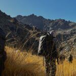Tost,Umnugovi,Snow leopard tour