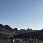 Livestock and landscape/ Tost