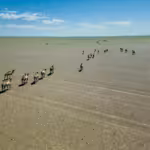 Gobi Panorama