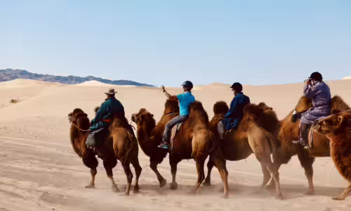 Camel riding in the Gobi Travelers joyfully riding a camel in the gobi desert guided local nomad.