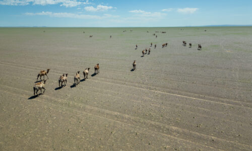 DJI_0859-HDR DJI_0859-HDR