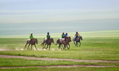 Horce racing, Naadam Festival, Mongolia