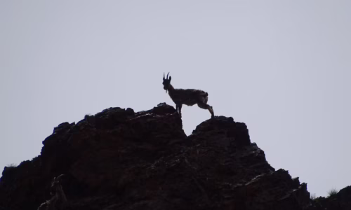 Mary-G-Gobi-Yol-Canyon-DSC05330 Mary-G-Gobi-Yol-Canyon-DSC05330