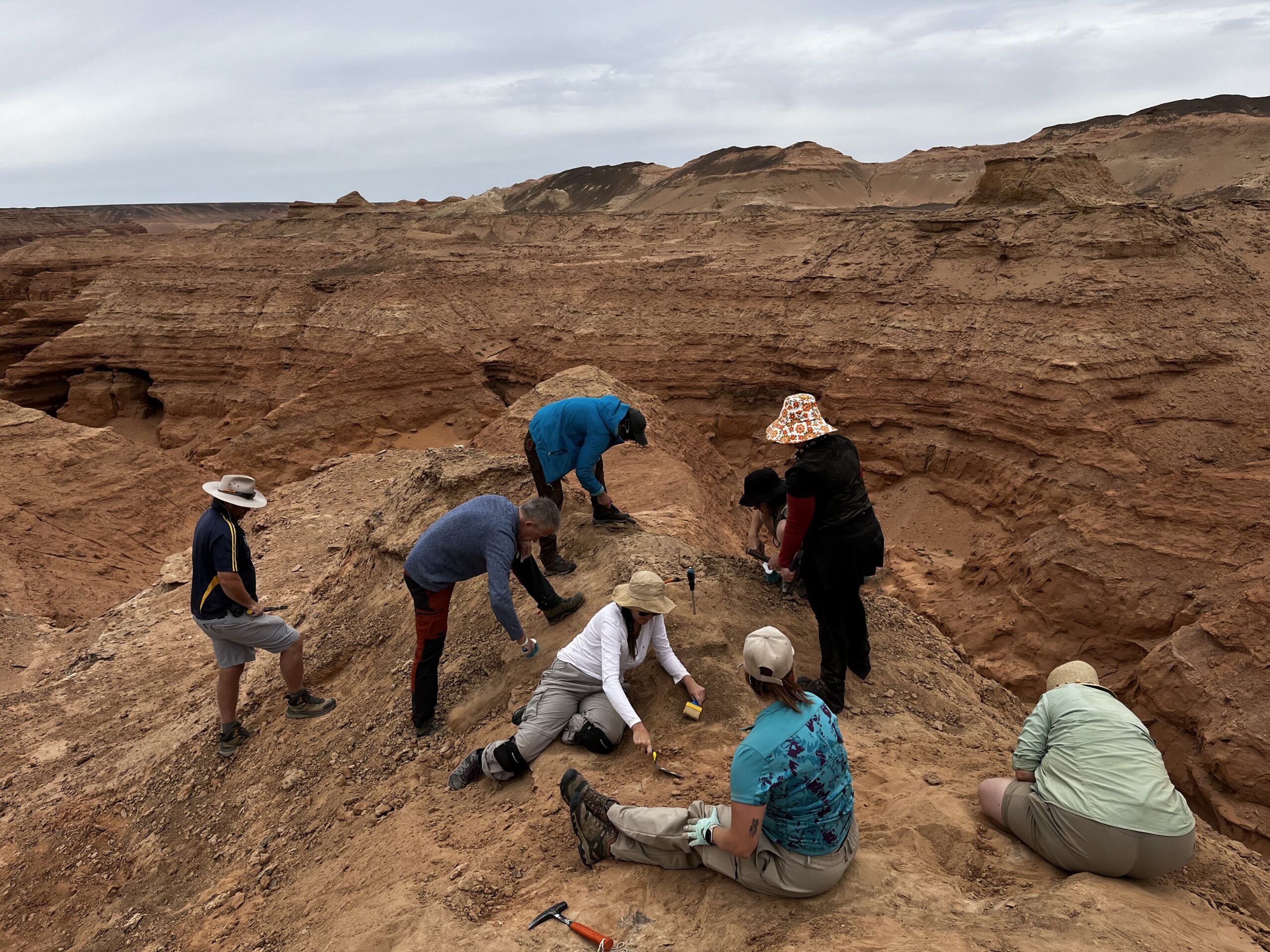Mongolia Quest Dinosaur expedition participants digging for fossils at Altan Uul, Southern Gobi, Mongolia