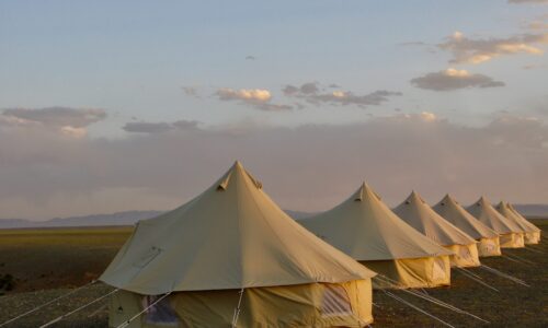 Oviraptor VIP Camp by Mongolia Quest, Flaming Cliffs, 2023