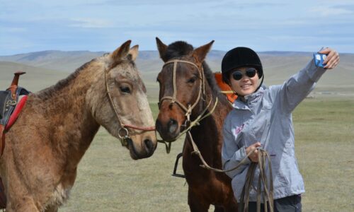 Befriending Mongolian Horse, Horseback riding in Terelj National Park, Mongolia