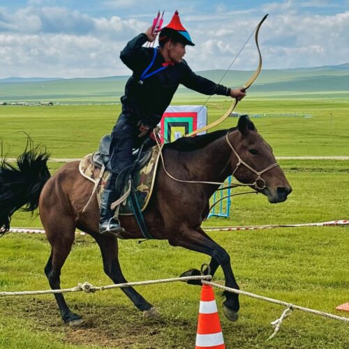 Mounted Archer in Action