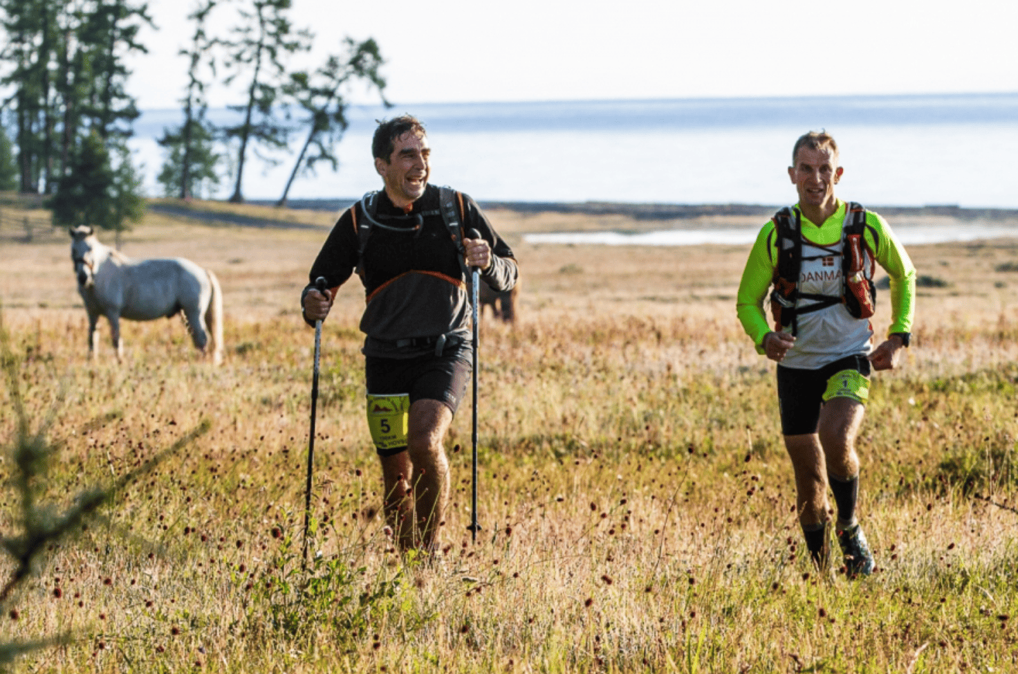 Marathon participants running through the beautiful lush Khovsgol landscape with a horse grazing in the background.
