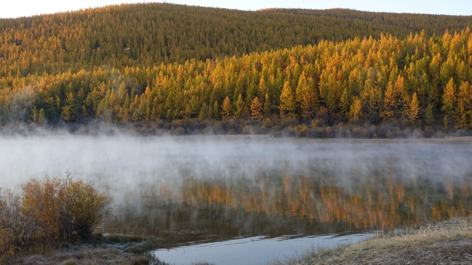 Autumn beauty in Shishgid river, Khusvgul province, Mongolia