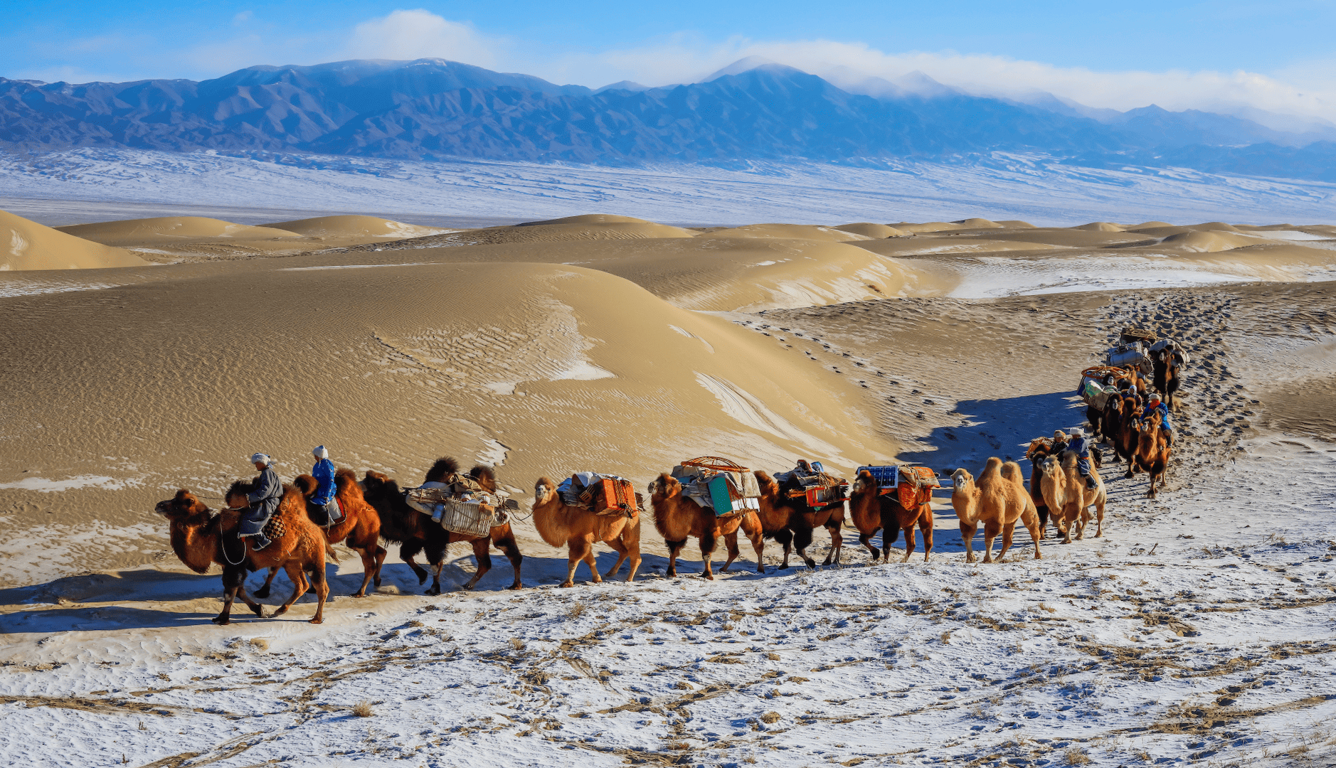 Mongolian Nomads' Autumn Migration. Moving with Camels.
