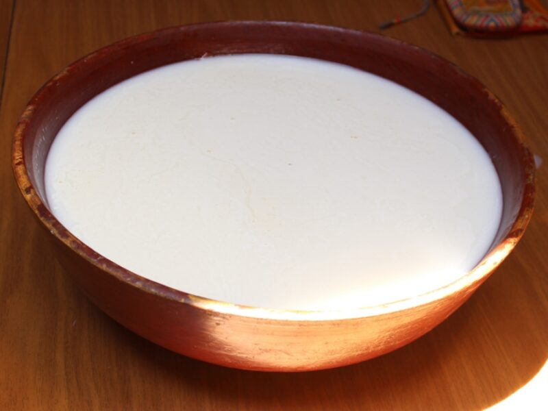 Bowl of airag, Mongolian traditional booze made from fermented mare's milk.