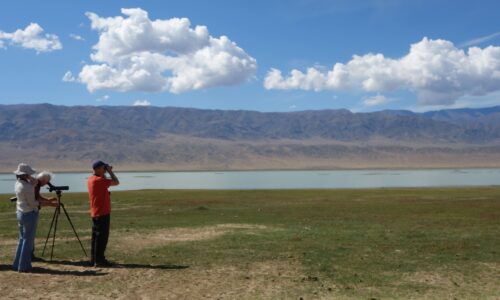 Birding (1) Birdwatchers observing waterfowl along the Tuul River near Ulaanbaatar, with binoculars in hand and native grasslands in the background.