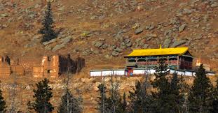 Manzushir Monastery Ruins of Manzushir Monastery on Bogd Khan Mountain, surrounded by pine forest, showcasing Buddhist architecture and mountain serenity near Ulaanbaatar.