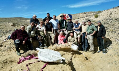 Dinosaurs of Mongolia 2025 Group photo of the 2025 FLAG Expedition participants in the Gobi Desert, gathered beside a newly jacketed fossil with The Explorers Club flag displayed in the background.