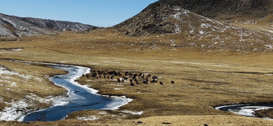 Delgerkhaan nature reserve in spring Delgerkhaan nature reserve in spring